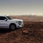 أنظمة أمان متقدمة