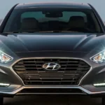 شبك أمامي عريض