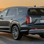 تصميم باليسايد من الخلف