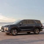 تصميم باليسيد 2024