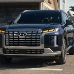 تصميم باليسيد 2025