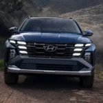 شبك امامي عريض