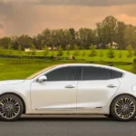 التصميم من الجانب