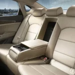 المقاعد الخلفية