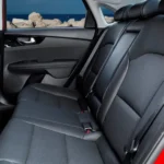 المقاعد الخلفية