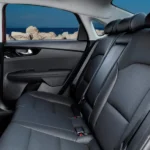 المقاعد الخلفية