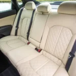 المقاعد الخلفية