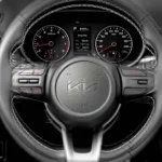 تحكم من المقود