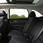 المقاعد الخلفية