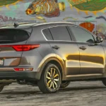 التصميم من الخلف