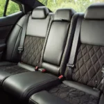 المقاعد الخلفية