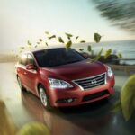 شبك أمامي عريض