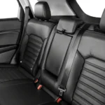 المقاعد الخلفية