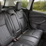 المقاعد الخلفية