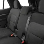 المقاعد الخلفية