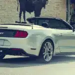 التصميم من الخلف