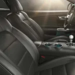 مقاعد من الجلد