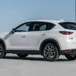 التصميم من الخلف