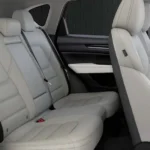 المقاعد الخلفية