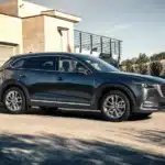 حنوط مقاس 20 بوصة