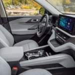 مقاعد من الجلد