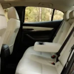 المقاعد الخلفية