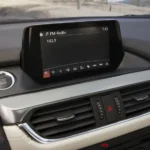 شاشة ترفيه LCD