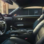 مقاعد من الجلد رياضية