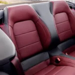 المقاعد الخلفية