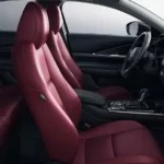 مقاعد من الجلد