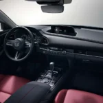 داخلية السيارة