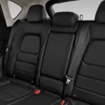 المقاعد الخلفية