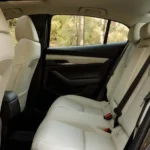 المقاعد الخلفية